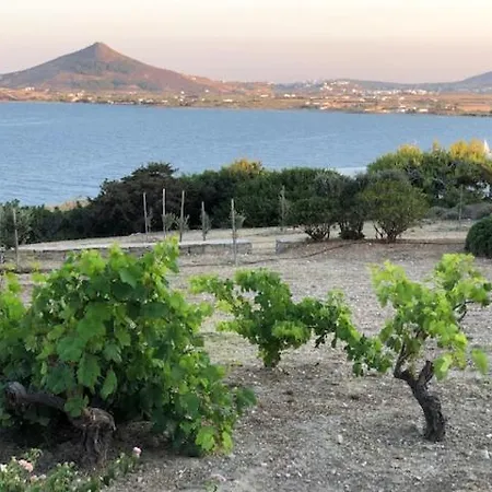 Villa Analepse *